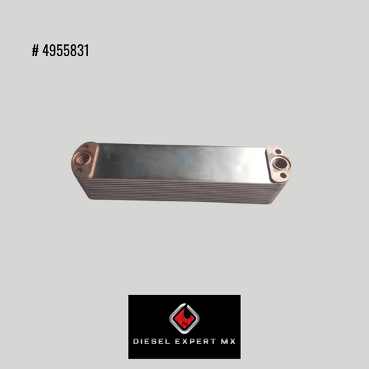 Enfriador de aceite ISX EGR (Cobre) 4955831