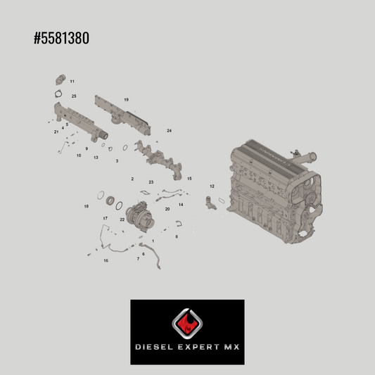 Kit de Enfriador de Recirculación de Gases de Escape (ISX EGR) Cummins 5581380